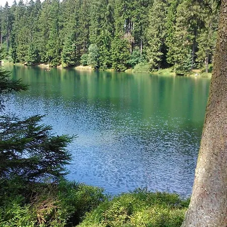 Hemlock Hahnenklee, Mit Balkon - Waeschepaket & Energie Inkl Lejlighed