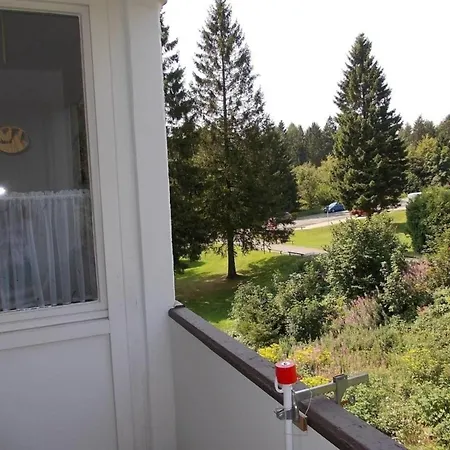 Hemlock Hahnenklee, Mit Balkon - Waeschepaket & Energie Inkl * Goslar